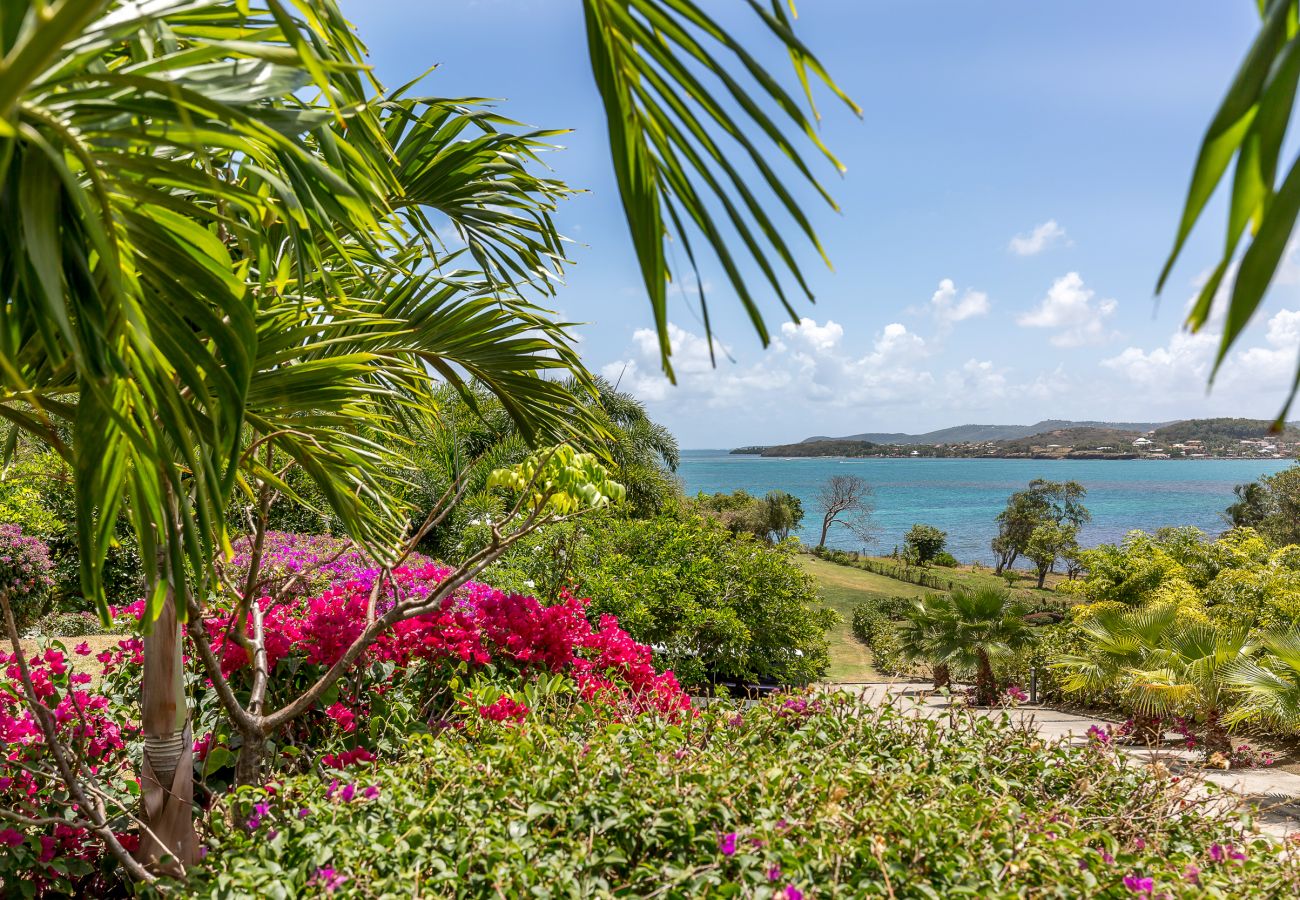 Villa in Le Vauclin - Queen Palm - Idyllic holidays home Villa in Le Vauclin - Queen Palm - Idyllic holidays home