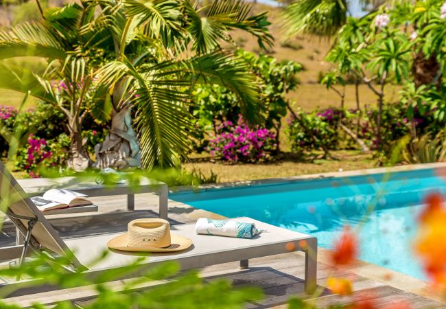 Villa in Le Vauclin - Silver Palm - rental house Martinique with swimming pool Villa in Le Vauclin - Silver Palm - rental house Martinique with swimming pool