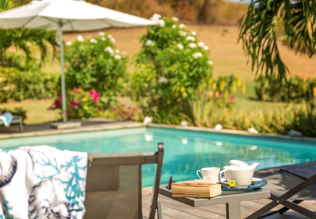 Villa in Le Vauclin - Blue Palm - 5 * villa with pool and 4 bedrooms Villa in Le Vauclin - Blue Palm - 5 * villa with pool and 4 bedrooms