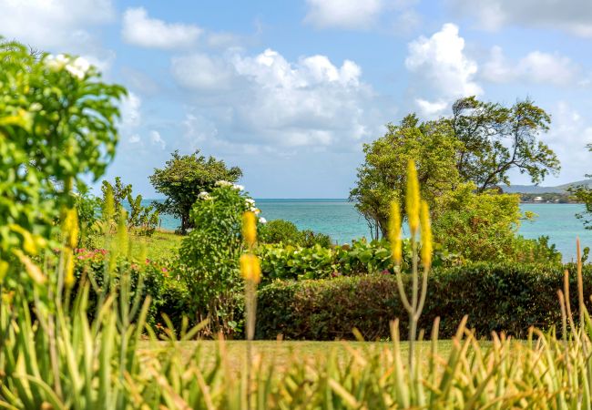 Villa in Le Vauclin - Lady Palm - Amazing villa in 1st line of sea front Villa in Le Vauclin - Lady Palm - Amazing villa in 1st line of sea front