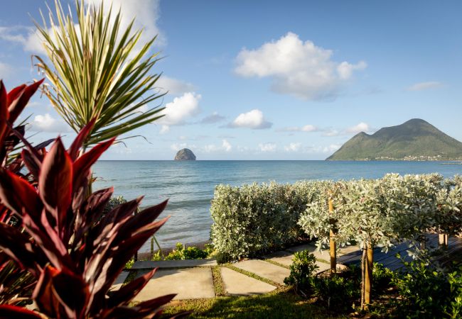 Villa in Le Diamant - Villa Regent - Magnificent seafront villa with private pool Villa in Le Diamant - Villa Regent - Magnificent seafront villa with private pool
